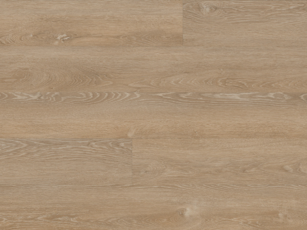 Premium Oak Latte - Oak Latte